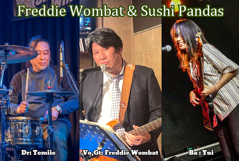 Freddie Wombat & Sushi Pandas